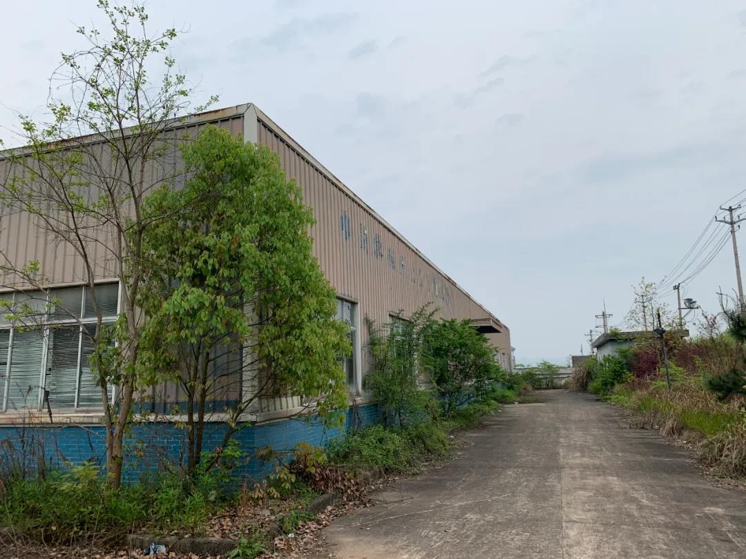 屯溪區國有資產投資運營有限公司委托設備設施及配套廠房和配電房拆除權拍賣公告