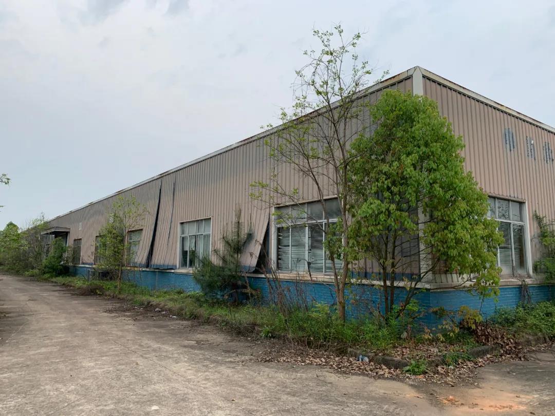 屯溪區國有資產投資運營有限公司委托設備設施及配套廠房和配電房拆除權拍賣公告