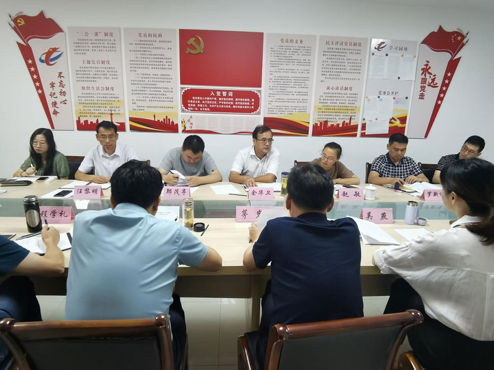 區委黨史學習教育第六巡回指導組指導屯溪區國投集團工作見面會