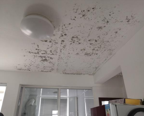 深化黨建推動引領，提升租戶居住幸福指數