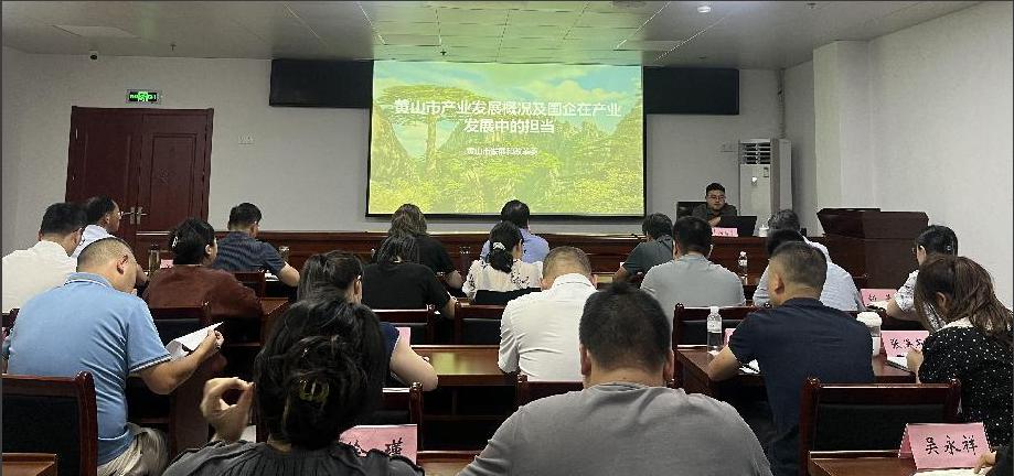黃山市屯溪區國投集團黨委：黨建引領促中心工作 提質增效助國企發展