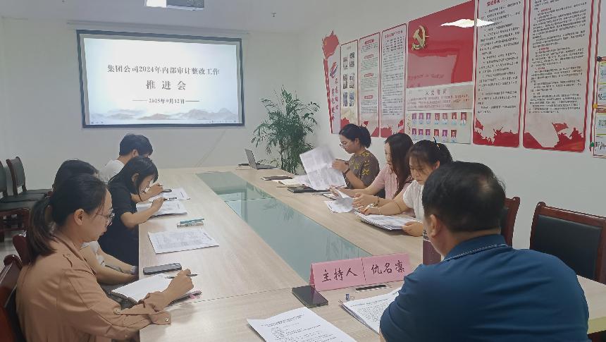 區國投集團召開審計工作推進會