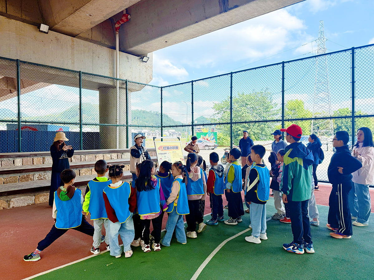 南溪南村：以薯為媒繪新景，活動賦能興鄉村