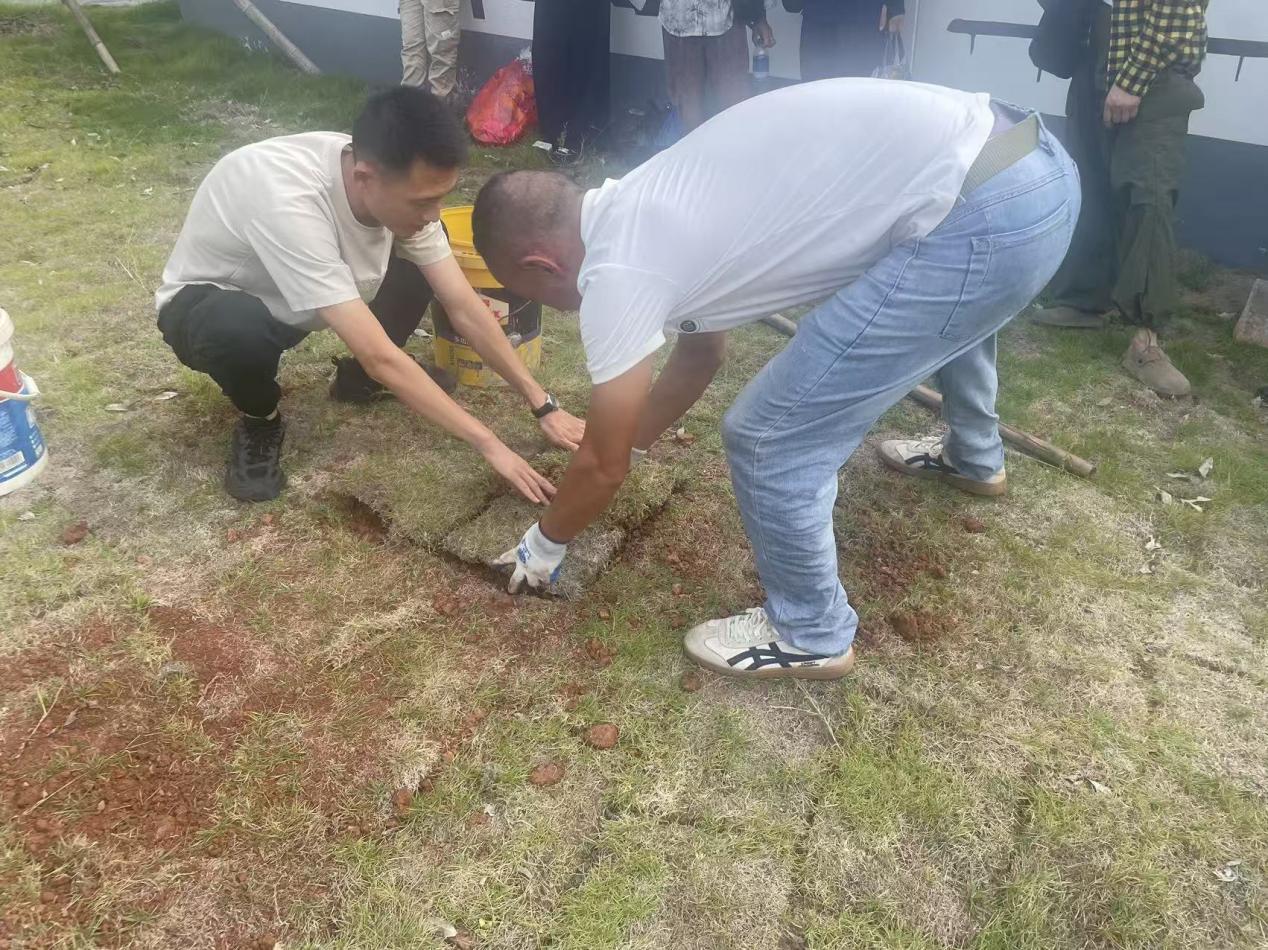 生態(tài)安葬樹(shù)新風(fēng) 鋪青疊翠映文明