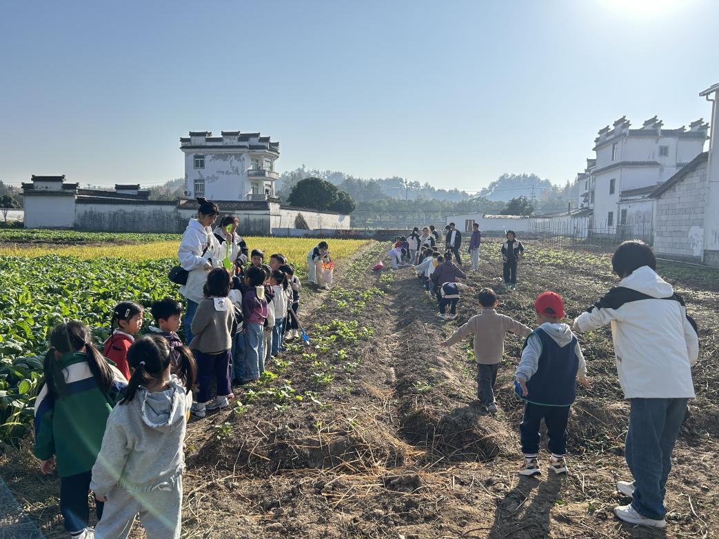 以“童”為橋促振興     農耕體驗樂翻天