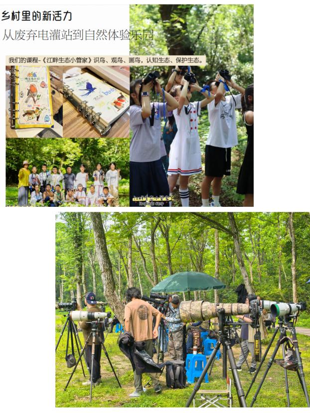 8000萬熱度炸屏！屯溪“護村小祖宗”聯(lián)動短劇頂級頭部平臺帶火綬帶鳥，短劇+文旅解鎖鄉(xiāng)村振興新密碼