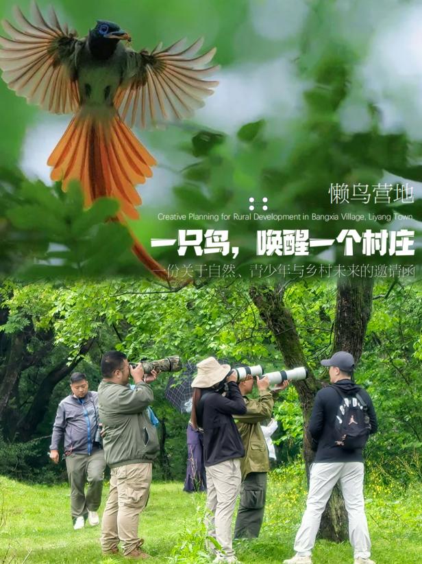 8000萬熱度炸屏！屯溪“護村小祖宗”聯動短劇頂級頭部平臺帶火綬帶鳥，短劇+文旅解鎖鄉村振興新密碼